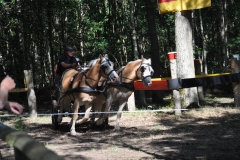 cache_2461217895f3cc