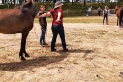 IMG-20210626-WA0013