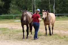 Horsemanship Rounpenkurs mit Esther Hebel 2021