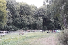 20180825_165056